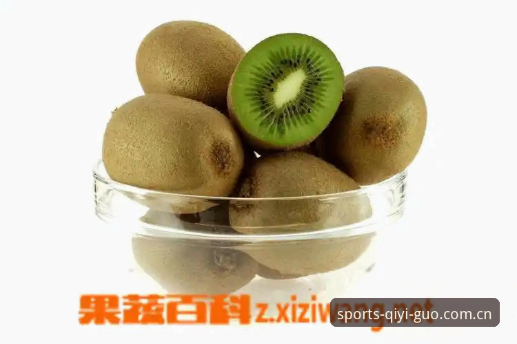 奇异果体育平台全面评测：最新奇异果体育在哪里下载？这份指南给你答案